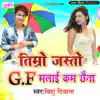 Bishu Diwana - Timro Jasto Gf Malai Kam Chhaina - Single